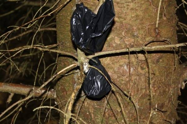 Hundeavføring i hagen