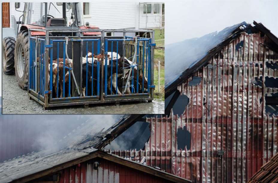 Fjøsbrann på Gismarvik FOTO: Kjell Bua