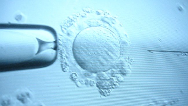 fertilitetsklinikken