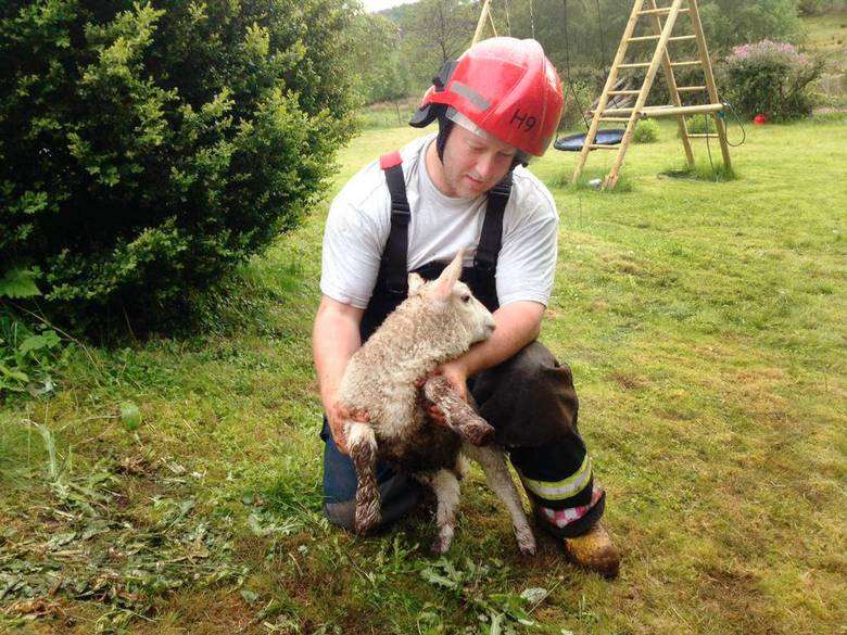 lam kvinnherad brannvesen