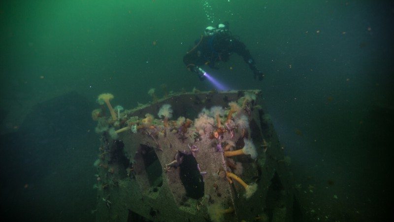 Undervannsrev Åge Wee Project Aware