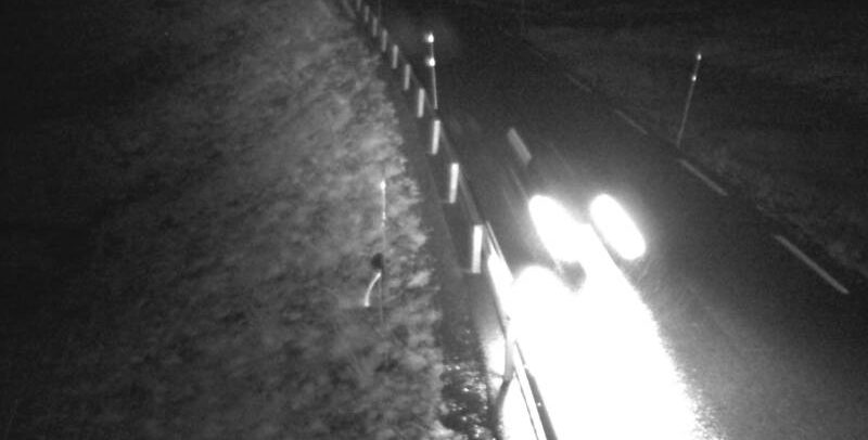 Fart Hardangervidda R7