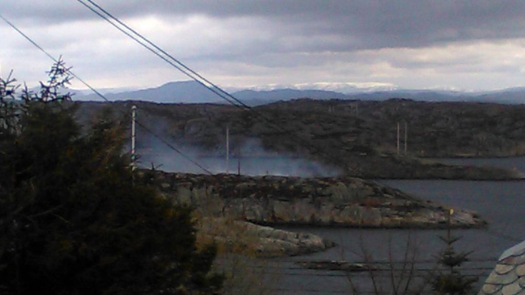 Foto; stavanger aftenblad tipser